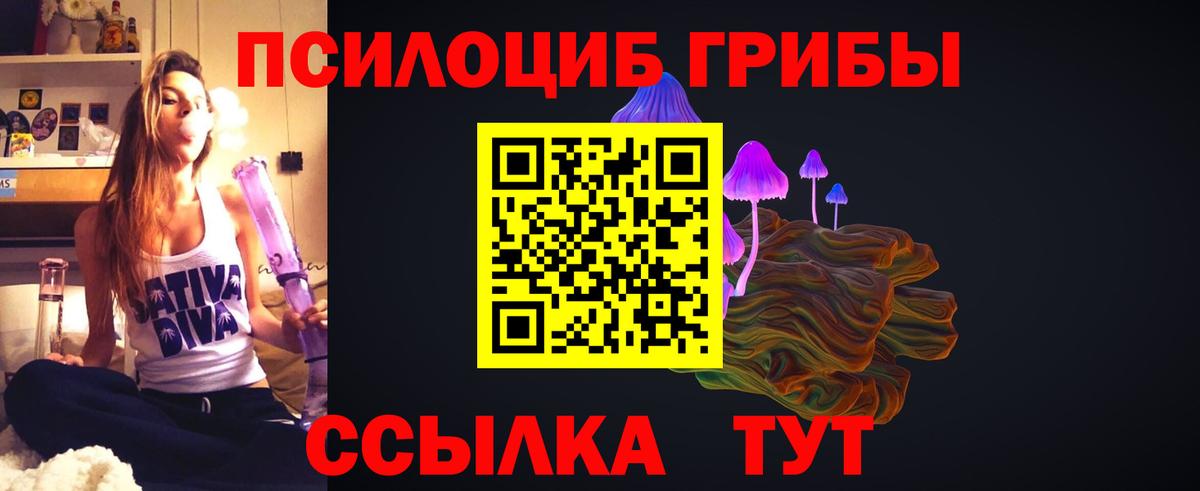 Элиста  Псилоцибиновые грибы Psilocybine cubensis  Вход с VPN  Псилоцибиновые грибы Cubensis 